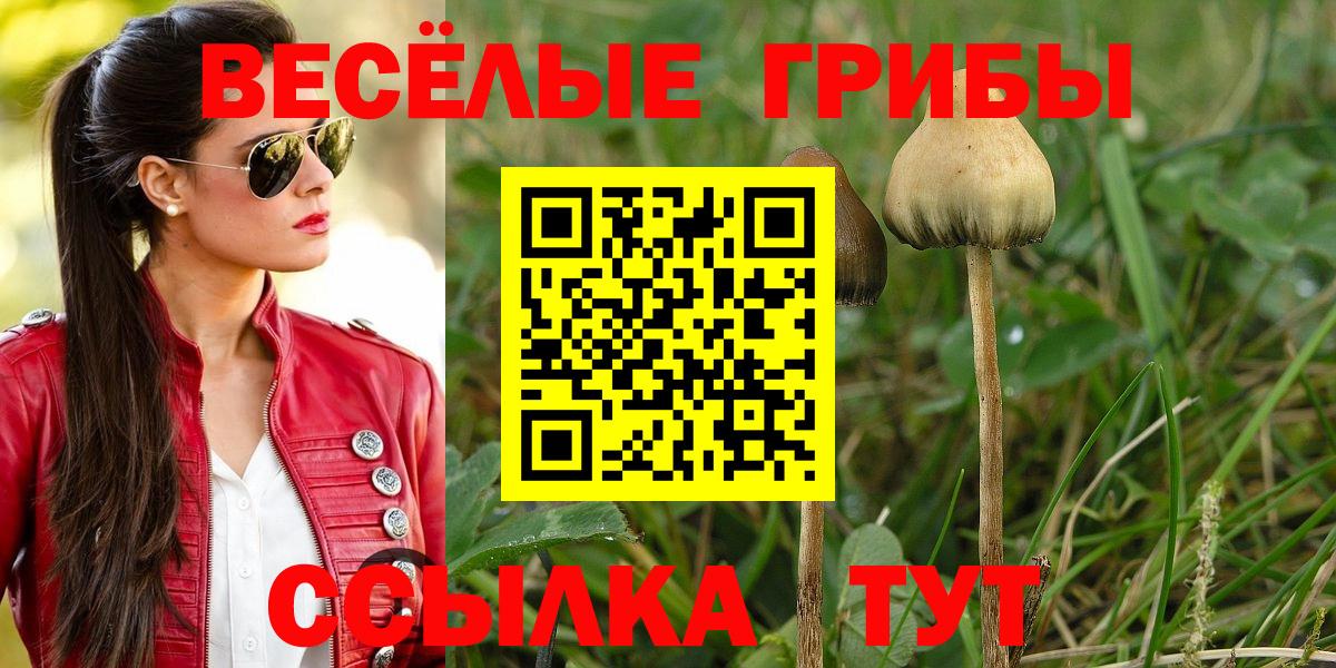 Галлюциногенные грибы мицелий  Вход с VPN  Мытищи 